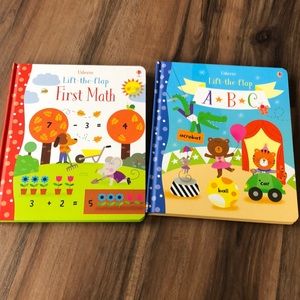 Lot of 2 Usborne Lift Flap Books